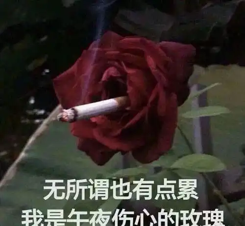 爆笑我化成灰你都认识,可我p过的图片,你居然叫我推微信离谱