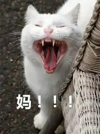 有哪些适合自己跟长辈聊天的表情包