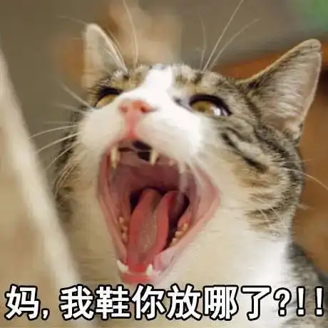 表情包你和麻麻的日常