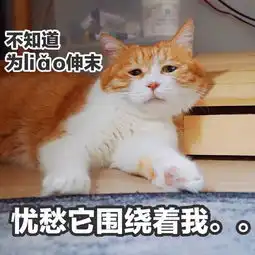 测评6款大牌护手霜,哪款最优秀