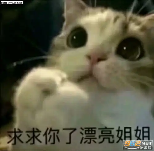 表情愿得一人心免得老相亲图片求求你了漂亮姐姐表情包下载...表情