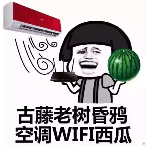 楼塔抢鲜尝,西瓜番薯绿色有机蔬菜等你来