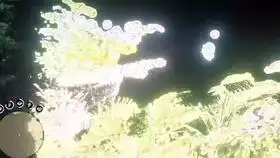 蘑菇吃出幻觉的第一视角,请勿模仿