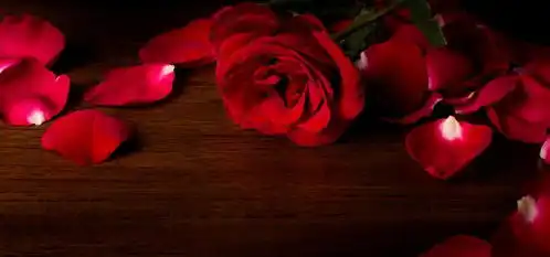 测试一个超长简介的文章