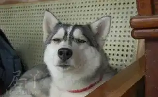 测试一个超长简介的文章