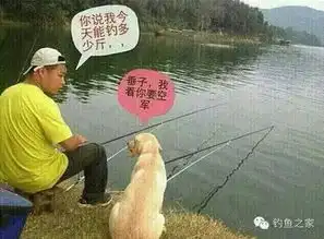 钓鱼的人,总是那么搞笑