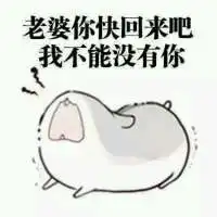 小松鼠老婆表情包