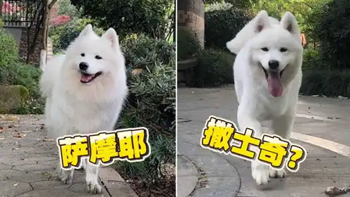 rio小胖妞的个人频道