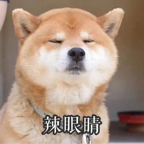 表情包我懂了,我就是一个惹人讨厌的美丽女孩