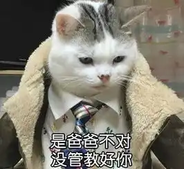 戏精小哥激情演绎凌晨两点的猫咪,每样都神还原