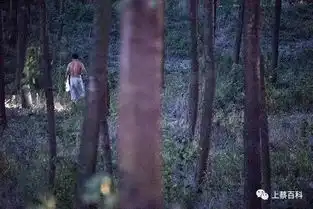 上蔡这群人傍晚在小树林里......