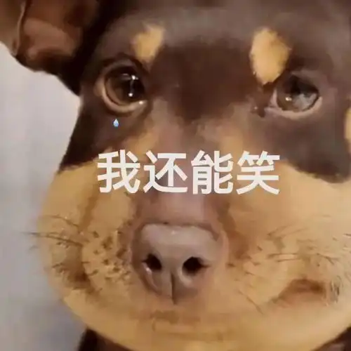 沙雕肿脸狗表情包