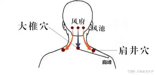 百草益寿梳手心头脖颈通调多种病,日常在家就能做