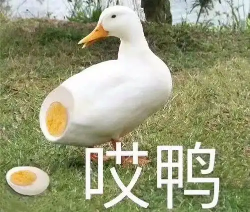 测试一个超长简介的文章