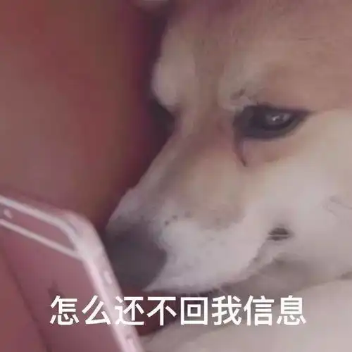 光遇一个舔狗的日记