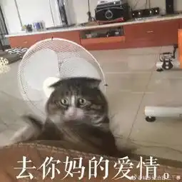 主人拍下逗猫时画面,第一张,我就直接喷饭了...