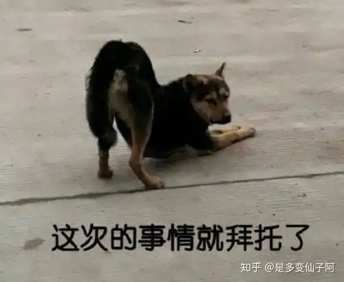 有哪些让你眼前戏一亮的表情包