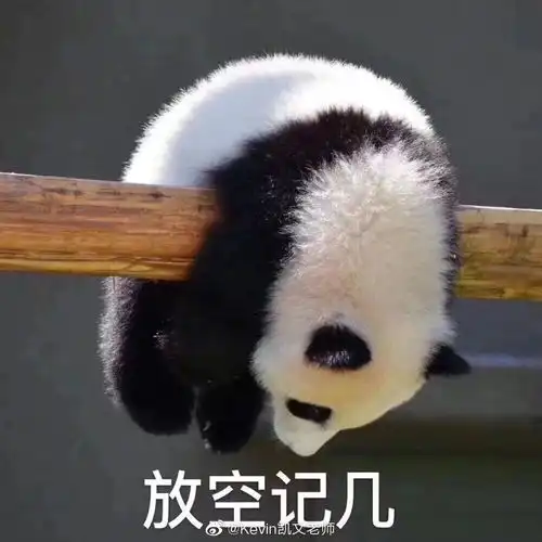 组里有入民盟的嘛