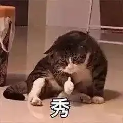 猫猫表情包超沙雕的猫咪表情包