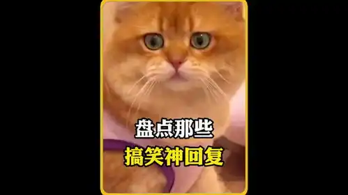 每日一笑搞笑段子神回复热点万万没想到