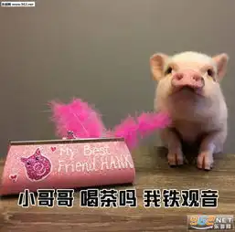 小哥哥网恋吗我铁观音一系列表情包小哥哥欠抽吗我千手观音表情包下载乐游网游戏下载
