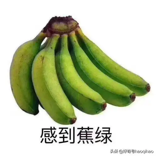 香蕉变黄了就是成熟了你一直在吃生香蕉
