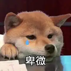 寄给曲园的那个ta,让书信带去我的思念