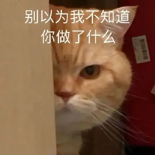 趣味实用表情包大全