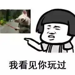 套路大全,来看看你中了几个