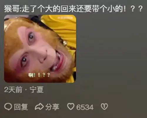 没发现猴哥的表情这么好笑,悟空笑脸给多了虎力大仙已老实
