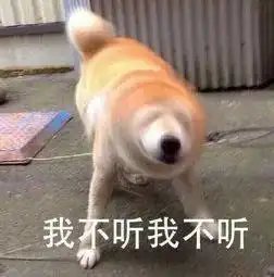 社会性死亡是一种什么体验