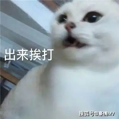 斗图怼人的群聊表情包我劝你谨言慎行斗图表情合集