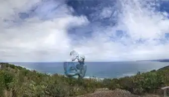 画家的隐身术一支笔让人体从自然中消失