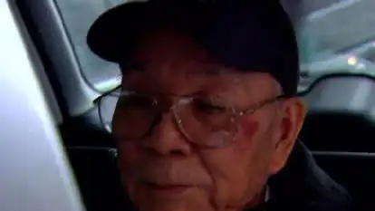 纽约警察打伤乱穿马路老人