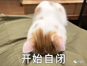 好融艺网站安全再升级,ssl证书保障信息传输绝密