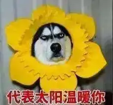 最低8秋雨冷空气,桂城将迎湿冷魔法攻击