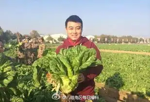 测试一个超长简介的文章