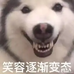 如果有个男团集齐了霍建华胡歌金希澈王嘉尔你会不会来饭