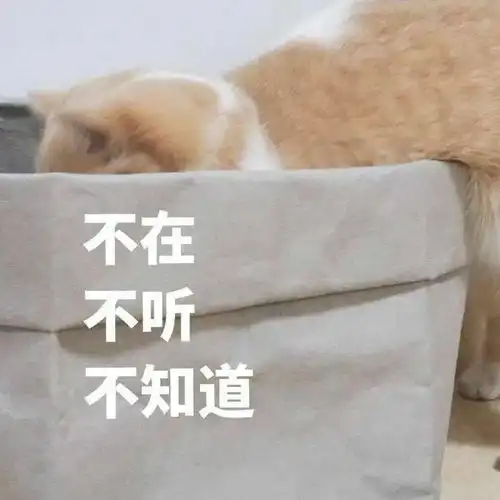 表情包合集这么无聊的日子,确定不约我嘛