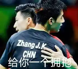 纯阳证券丨别争了,张继科是马龙的
