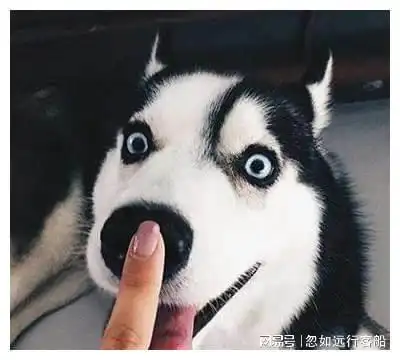 搞笑动图把这个心形送给心爱的姑娘吧