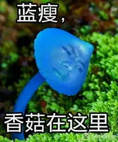 蓝瘦香菇是什么意思2016年最全网络流行语表情包