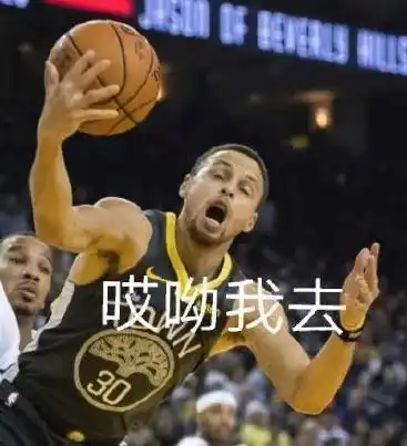 库里改行溜冰这位nba萌神硬生生活成了表情包