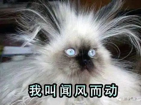 七天预报六个晴,尽情享受太阳的火热吧