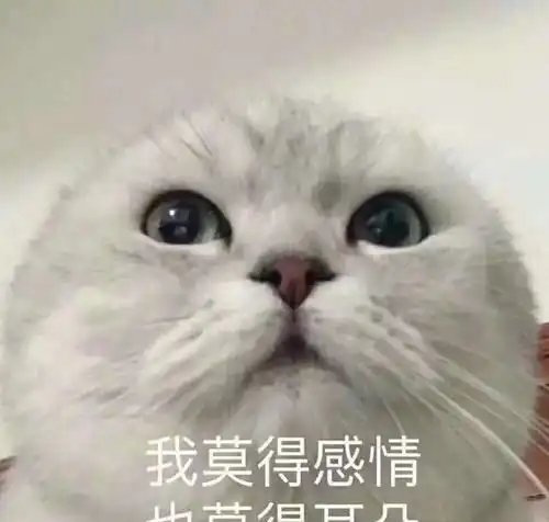 每日一笑大师,我失散多年的儿子不肯叫我爹怎么办