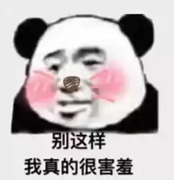 你丫是怎么做项目的