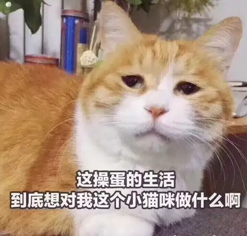 老娘把你当闺蜜,你把老娘当凯子