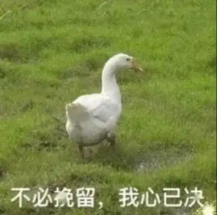 成都人的海鲜自由,在这些人均不过100的店里实现