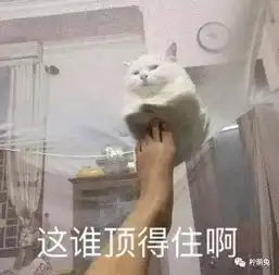 如何让女生第一眼就喜欢上你哈哈哈哈内容过于沙雕.....