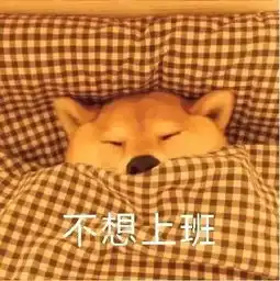 今年第28号台风北冕生成阳江一夜入冬,气温跌至